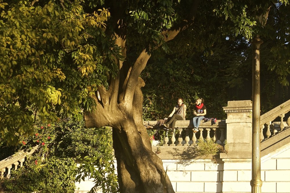 Photograph by Juan Pavlovsky