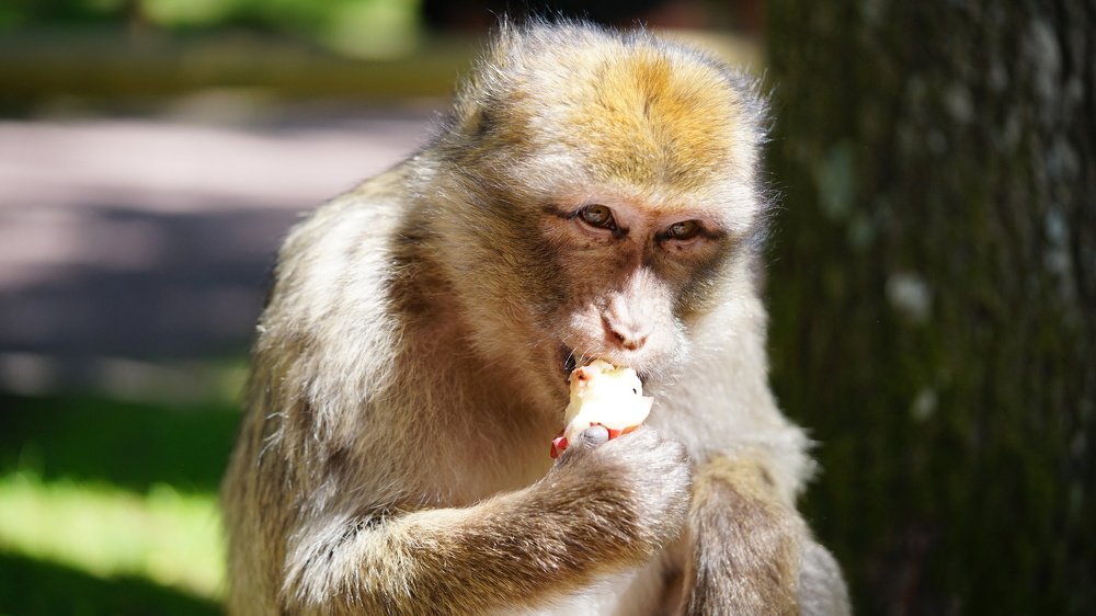 Photograph by Dardan Krasniqi