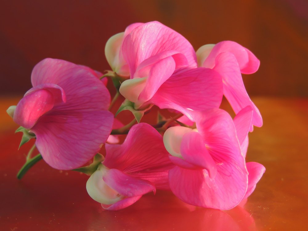 Photograph by Vladimir