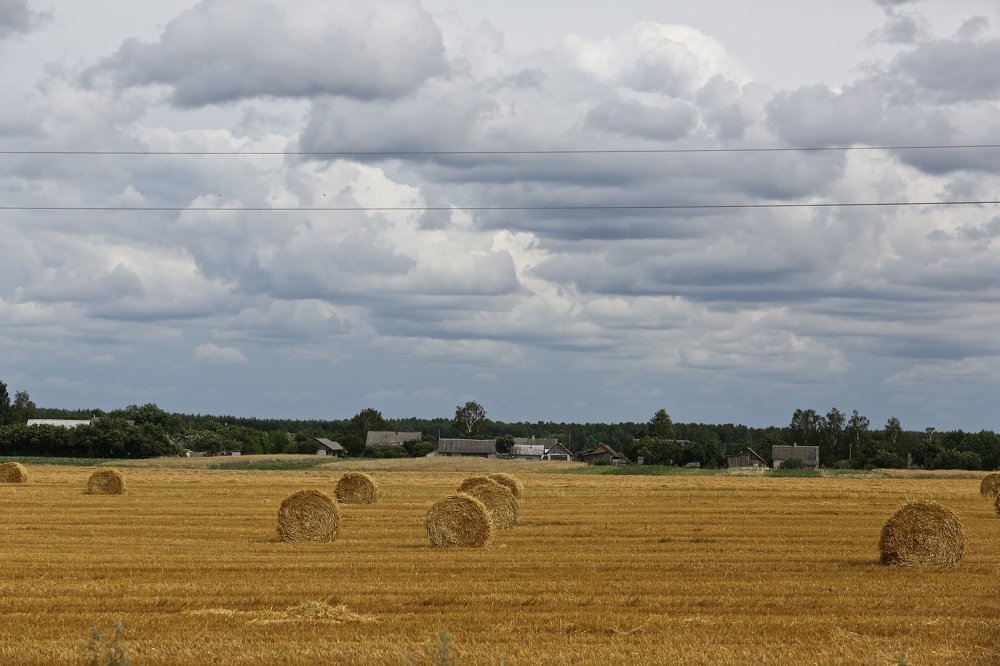 Фотография автора Наталья Васько -Черданцева