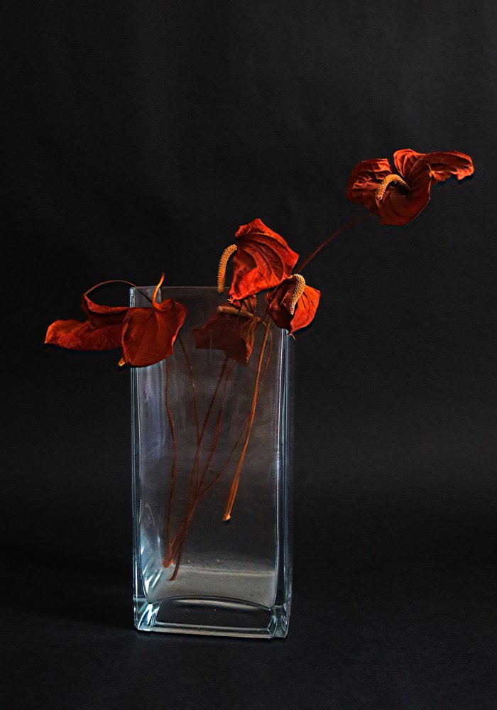 Photograph by Binyamin Arshavsky