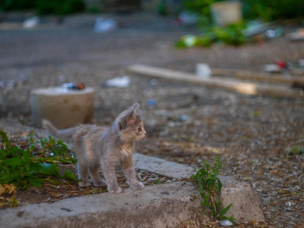 Photograph by Марат Демский