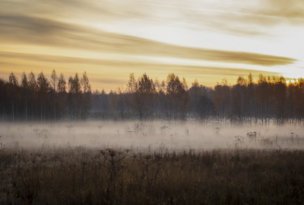 Photograph by Елена Иванова