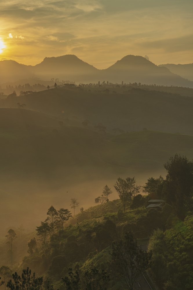 Фотография автора Susanty Tan