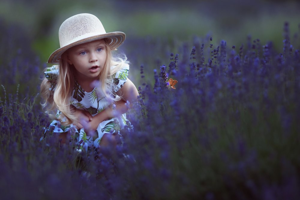 Лаванда и бабочка