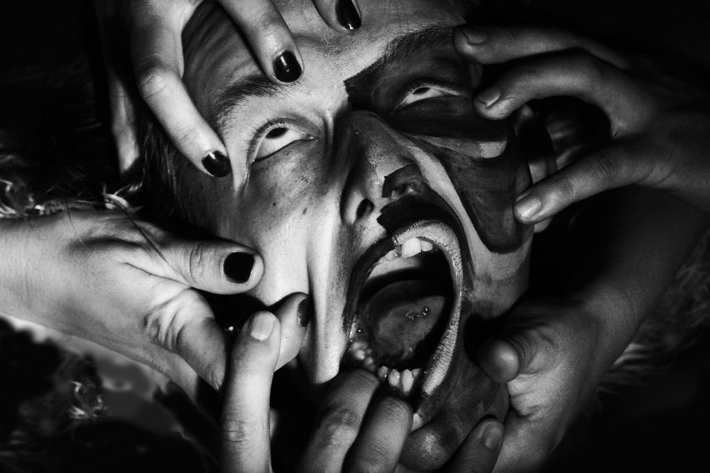 Photo #4740042