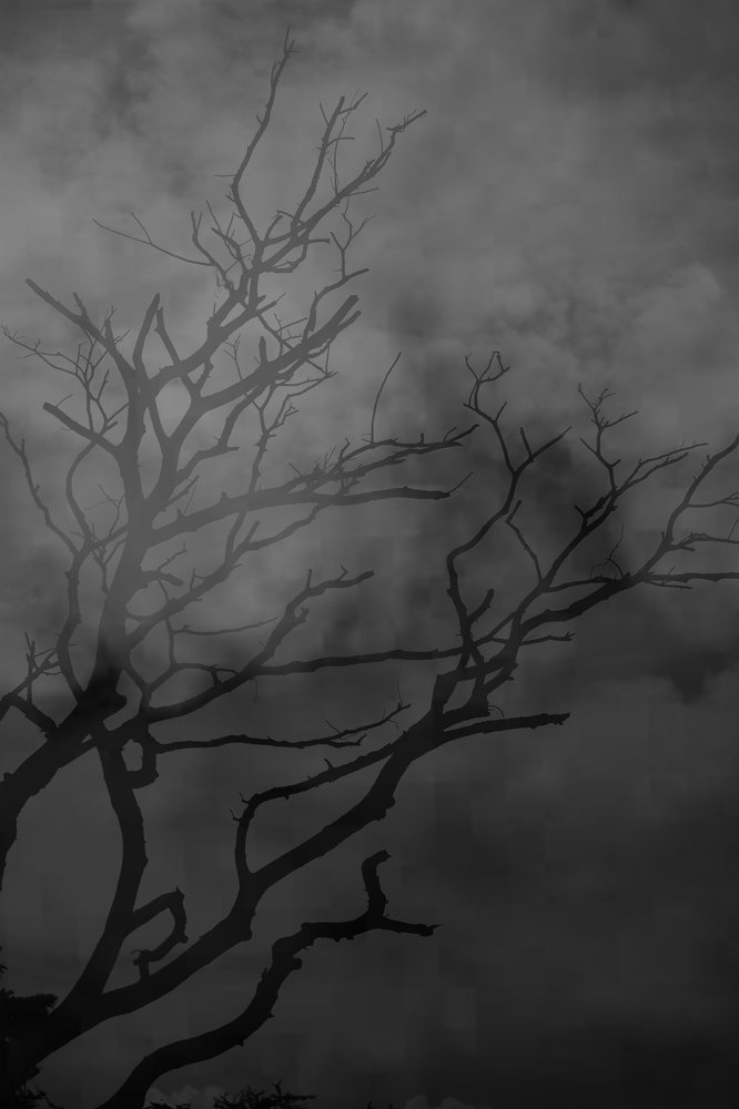 Photograph by Shourrya Bhalotia