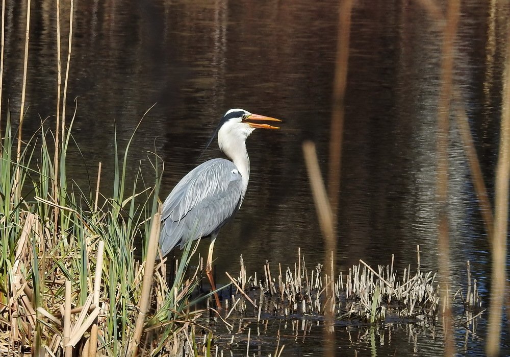 Photograph by INESA POROHOVA