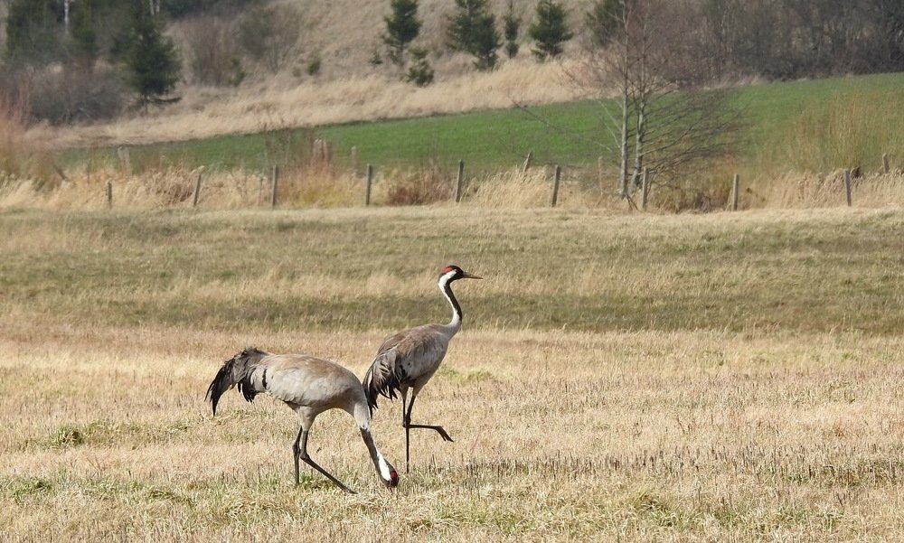 Photograph by INESA POROHOVA