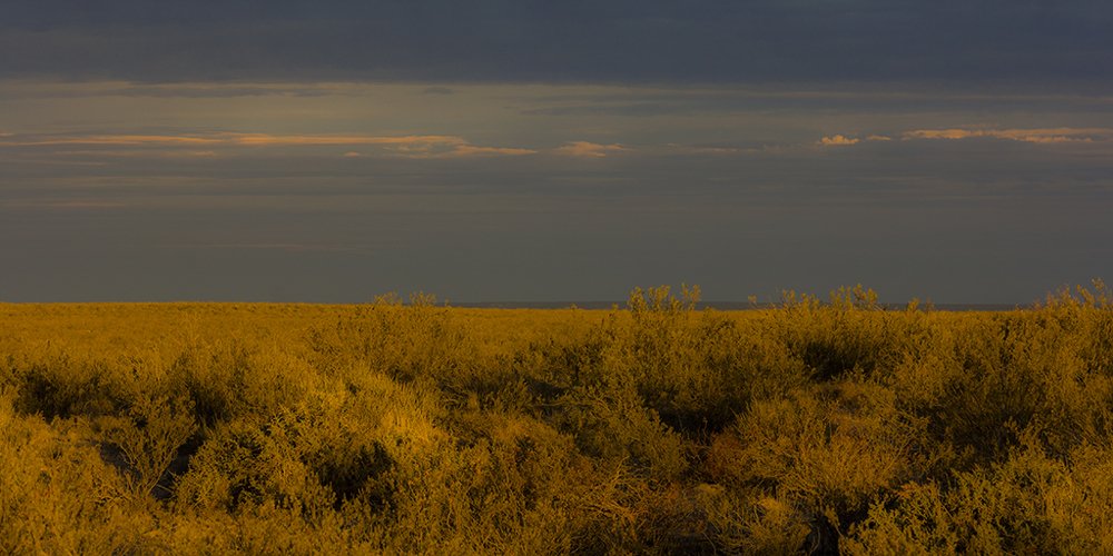 Photograph by martin xgraf