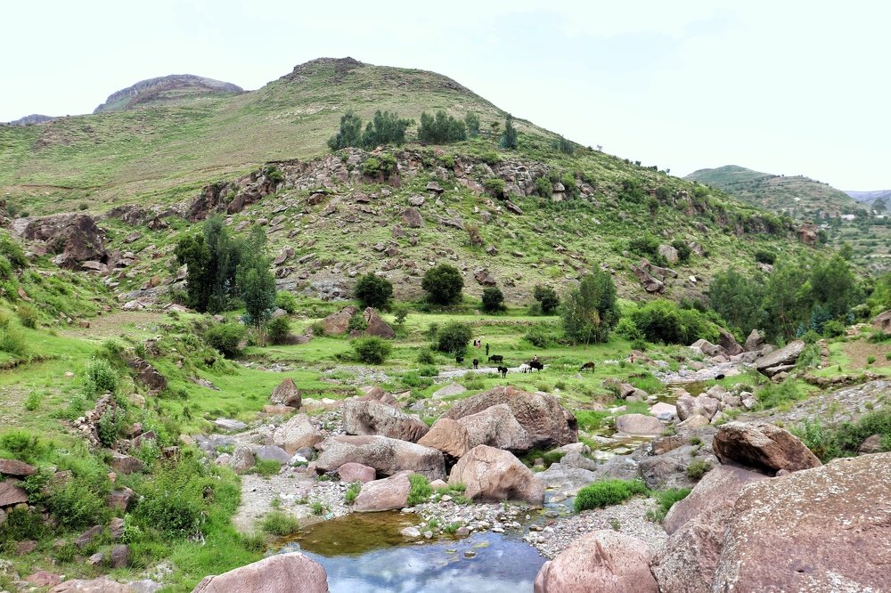 Photograph by Rassam Ali AL baadani