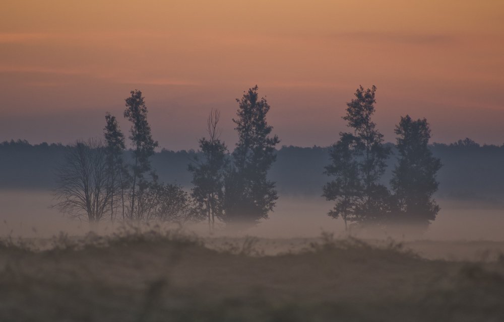 Photograph by Дмитрий Жижин