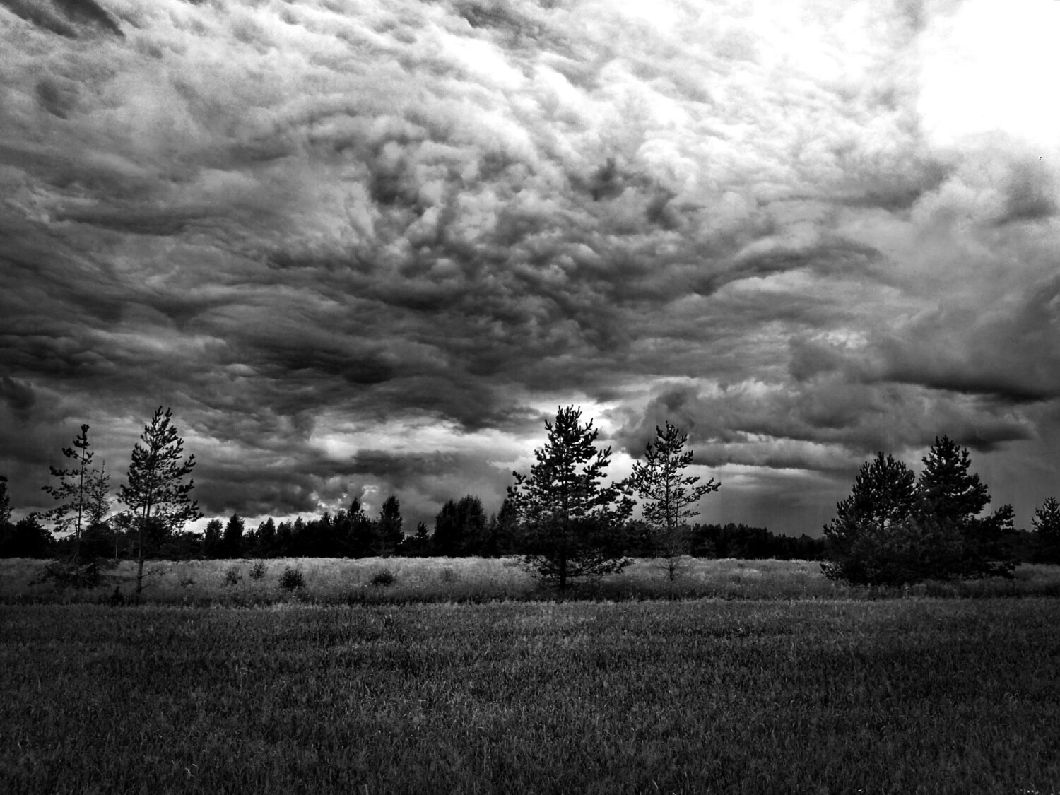 Photo #4740233