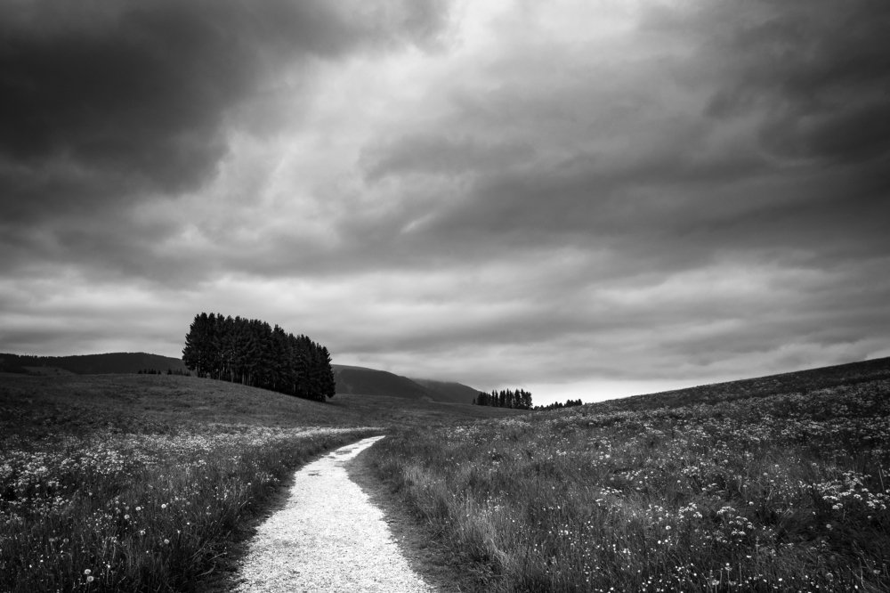 Photograph by Francesco Pronestì