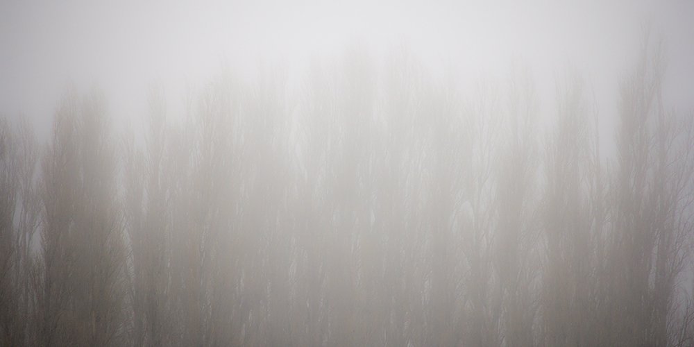 Photograph by martin xgraf