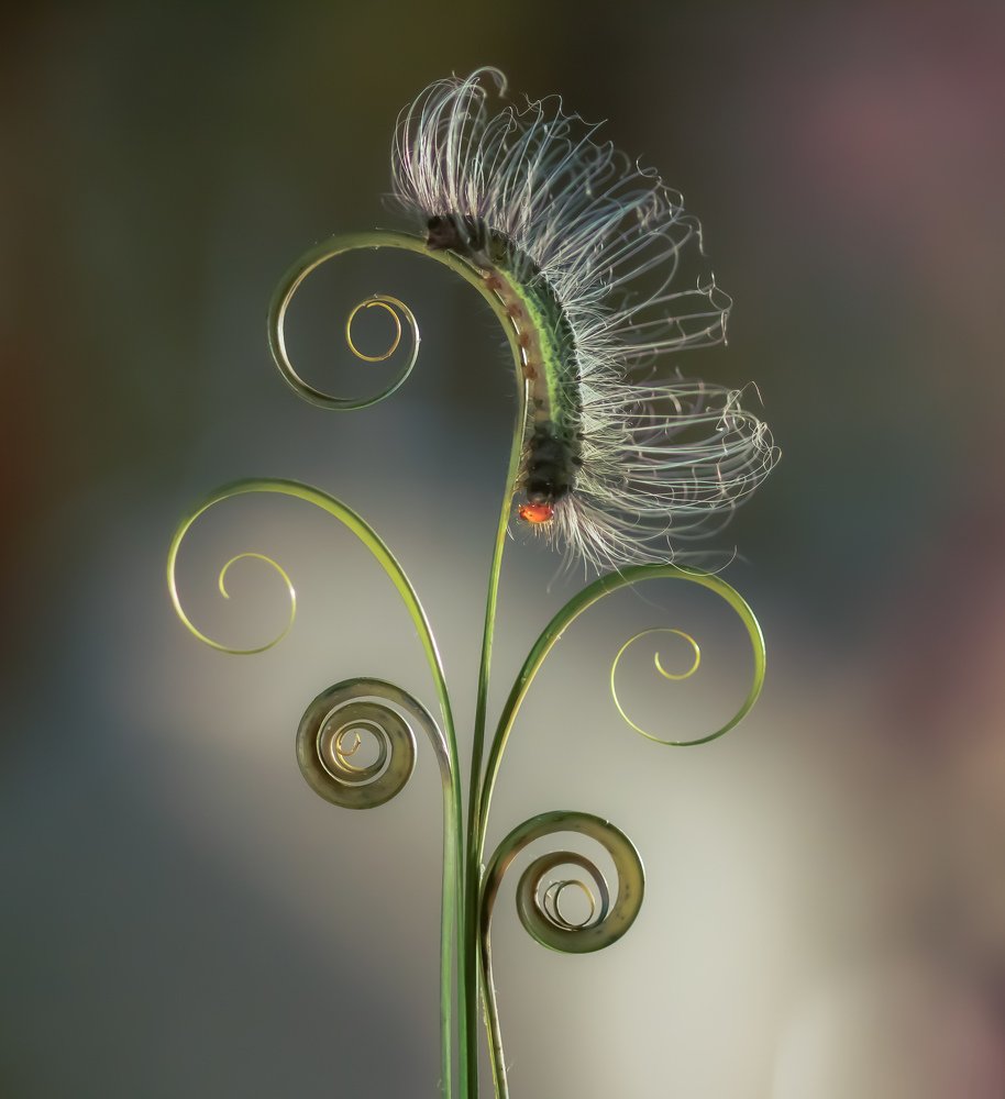 After from the salon