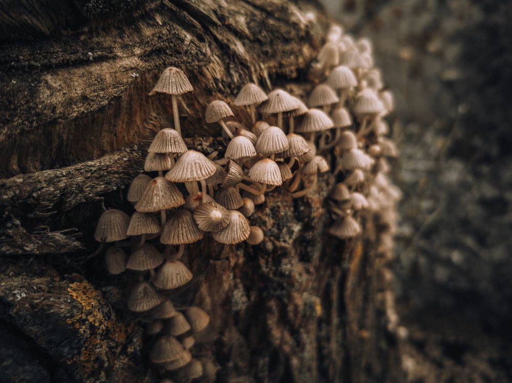 Photograph by Владимир Алейников