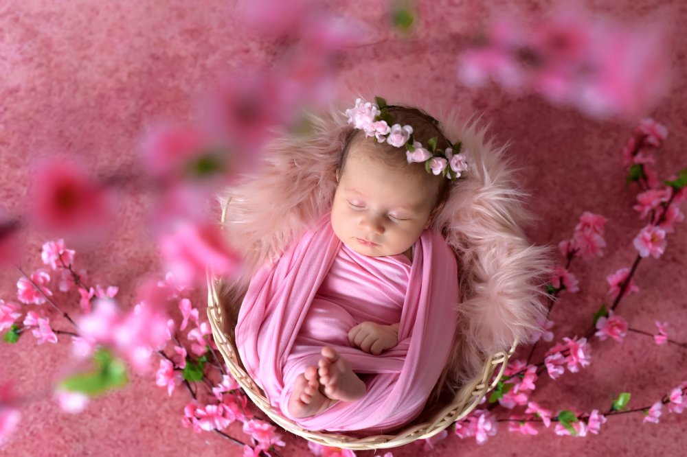 Фотография автора Katerina Zlateva