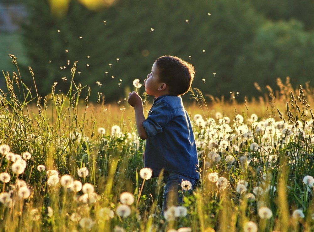 Photograph by Регина Хабибуллина