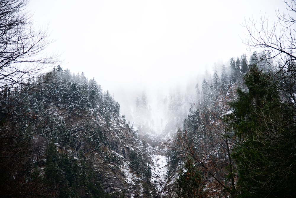 Photograph by Юлия Борт