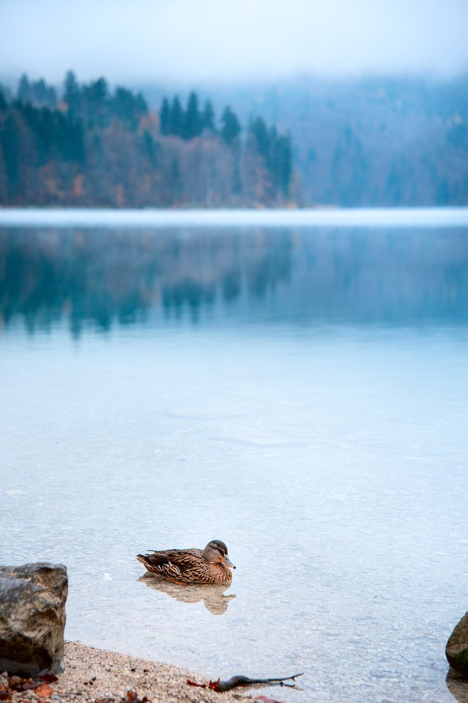 Photograph by Юлия Борт