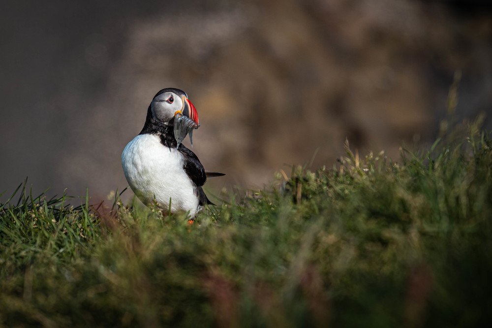 Photograph by Анна Широкова