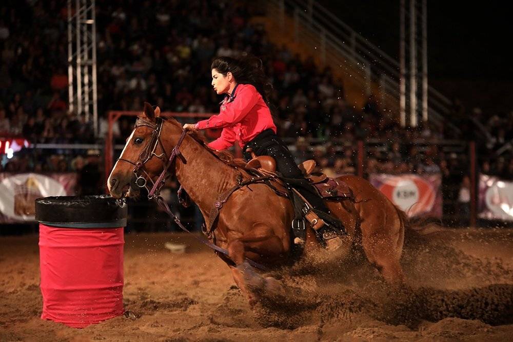 Фотография #4740486