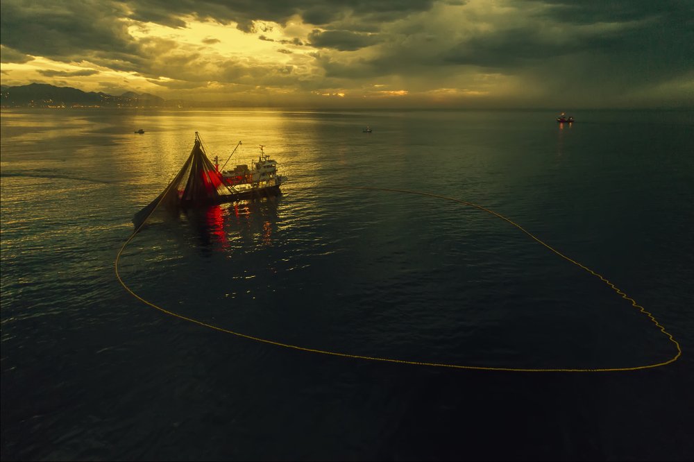 Photograph by Murat TOPAL