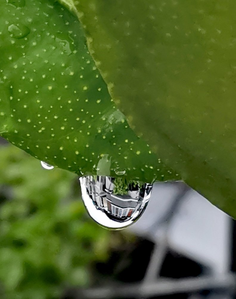 Trapped in water drop