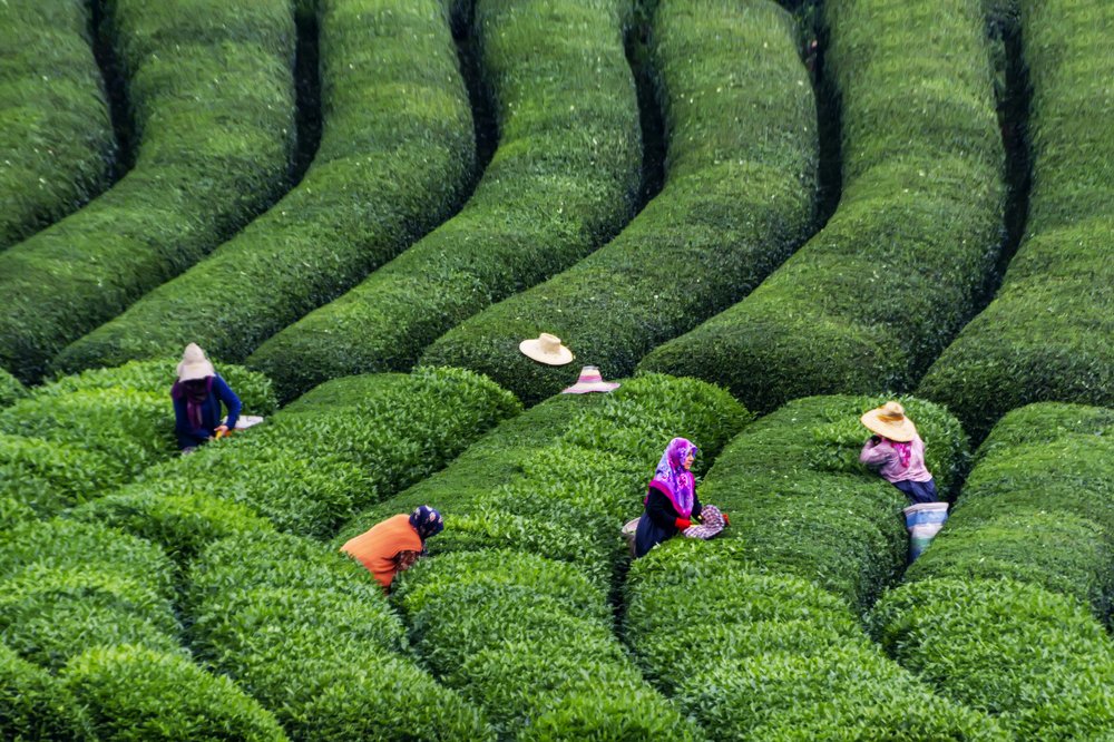 Photograph by Gülsen Yılman