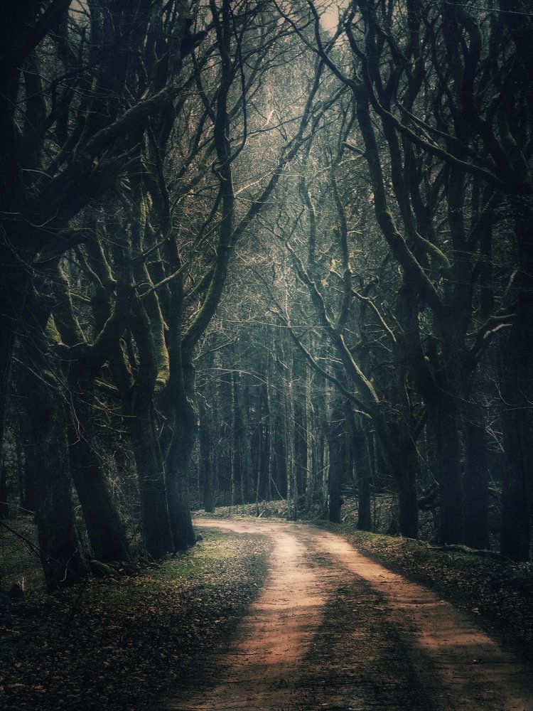 Photograph by Владимир Алейников