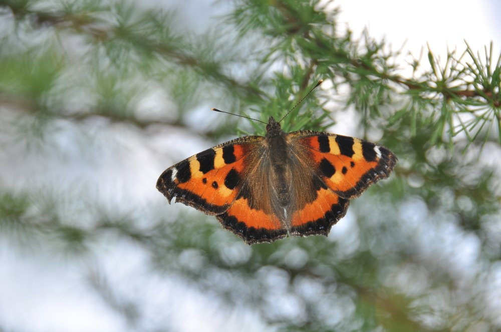 Photograph by Евгений Захаров