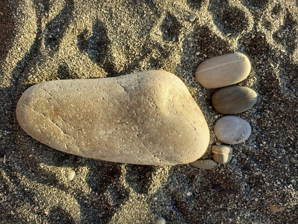 Photograph by Анна Быкова