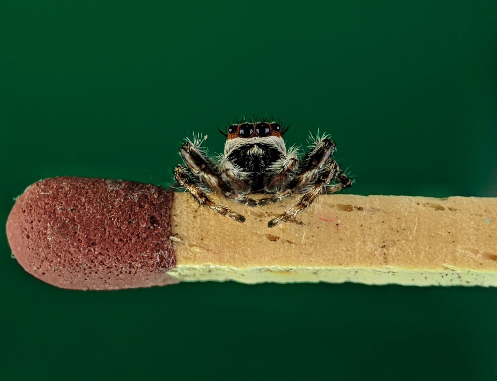 Photograph by virgilio Arquelola jr