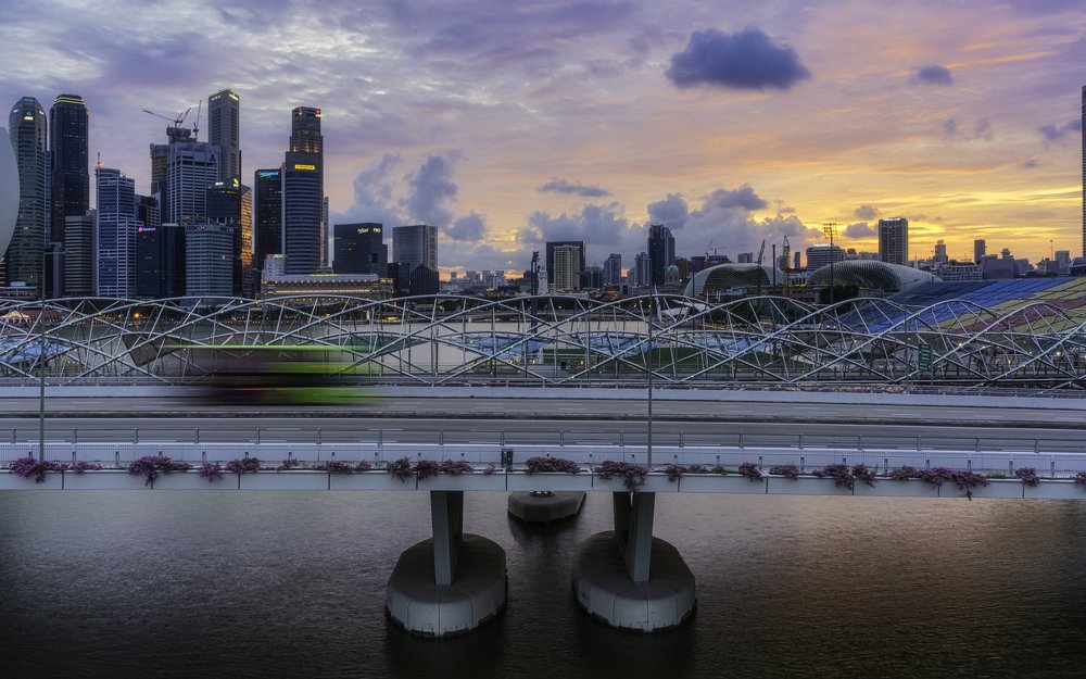 Singapore Cityscape
