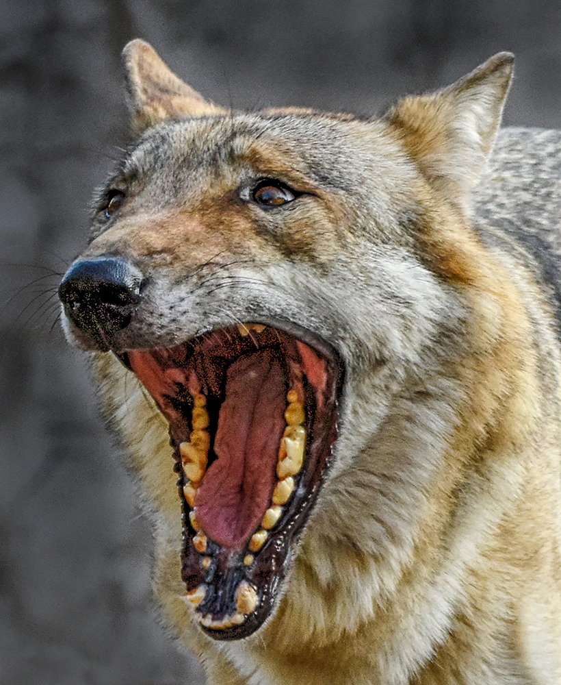 Photograph by Сергей Духанин