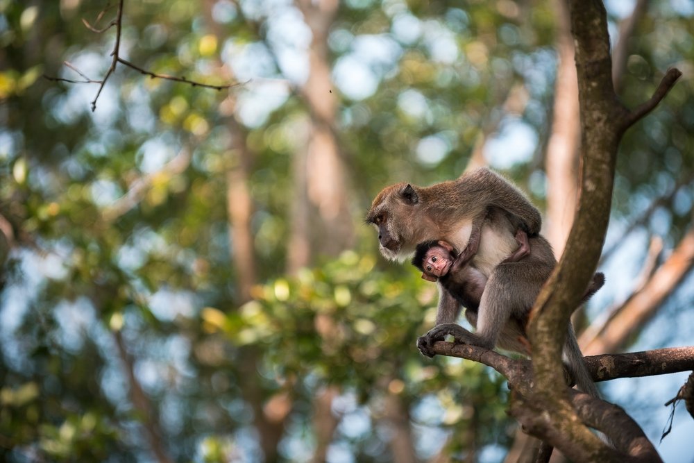 Photograph by KL Chong