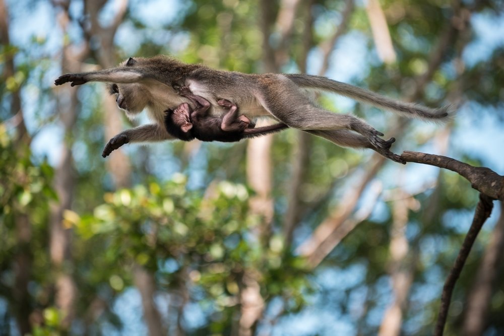 Photograph by KL Chong