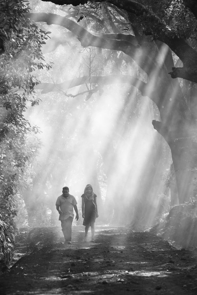 Photograph by HARIBABU BEERELLI