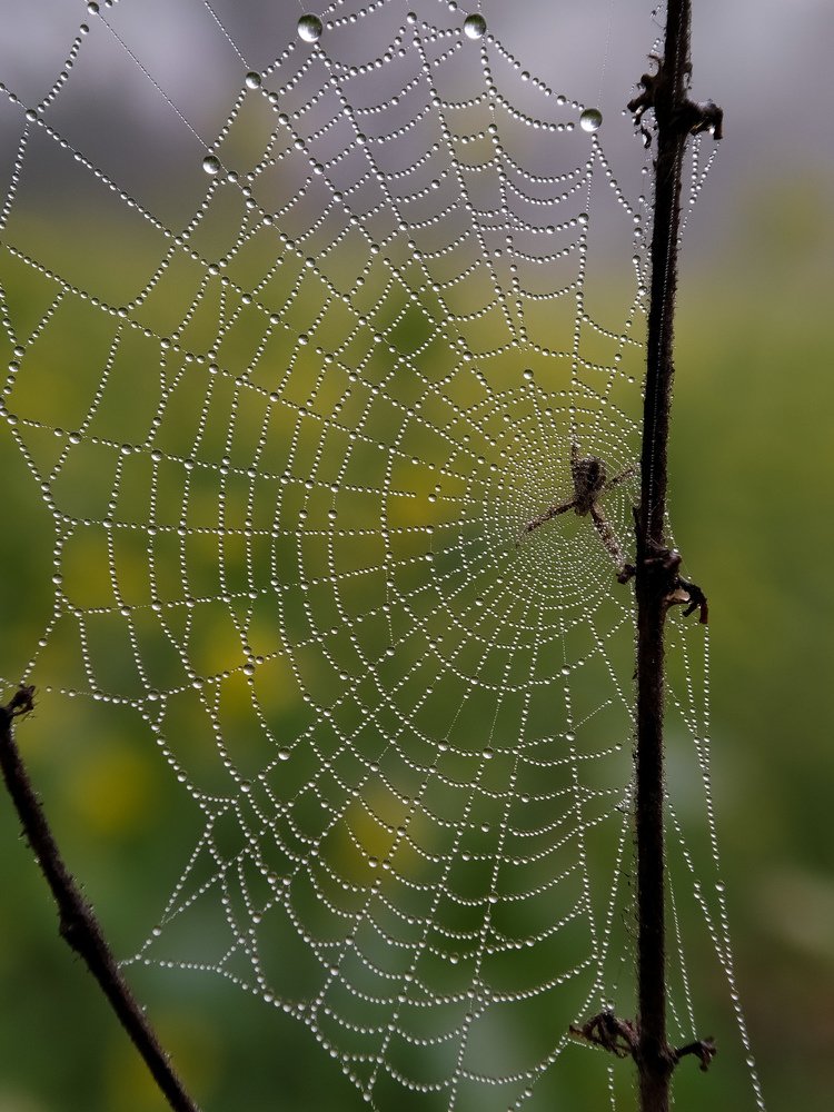 Photograph by Balaram Paul
