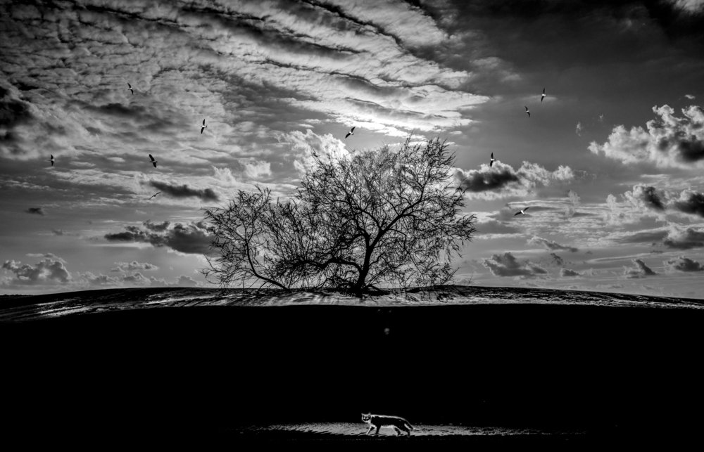 Photograph by Leonid Lan