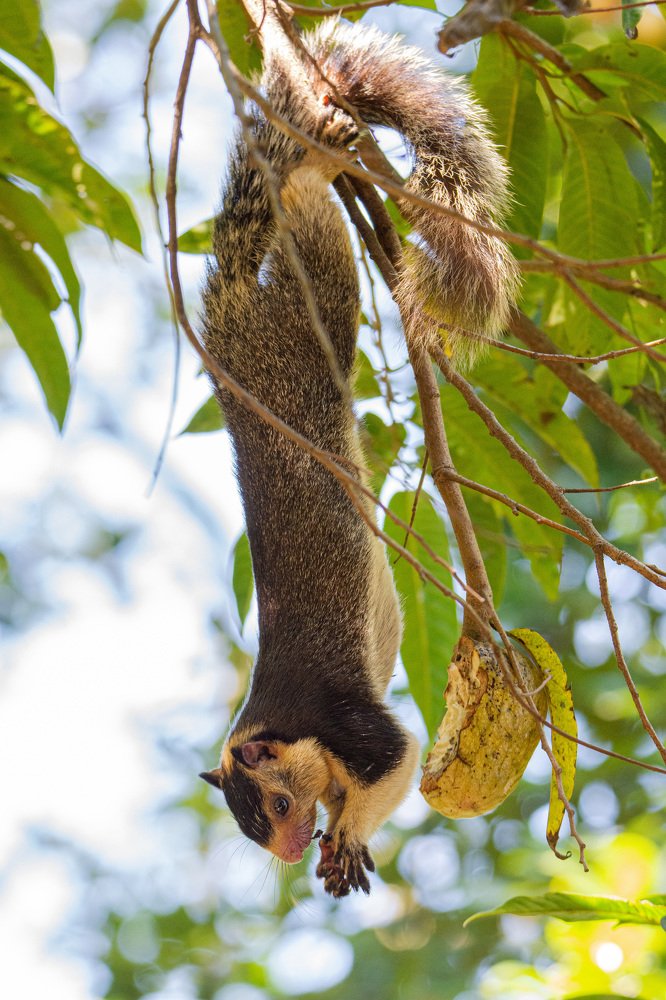Photograph by Yazir Zubair