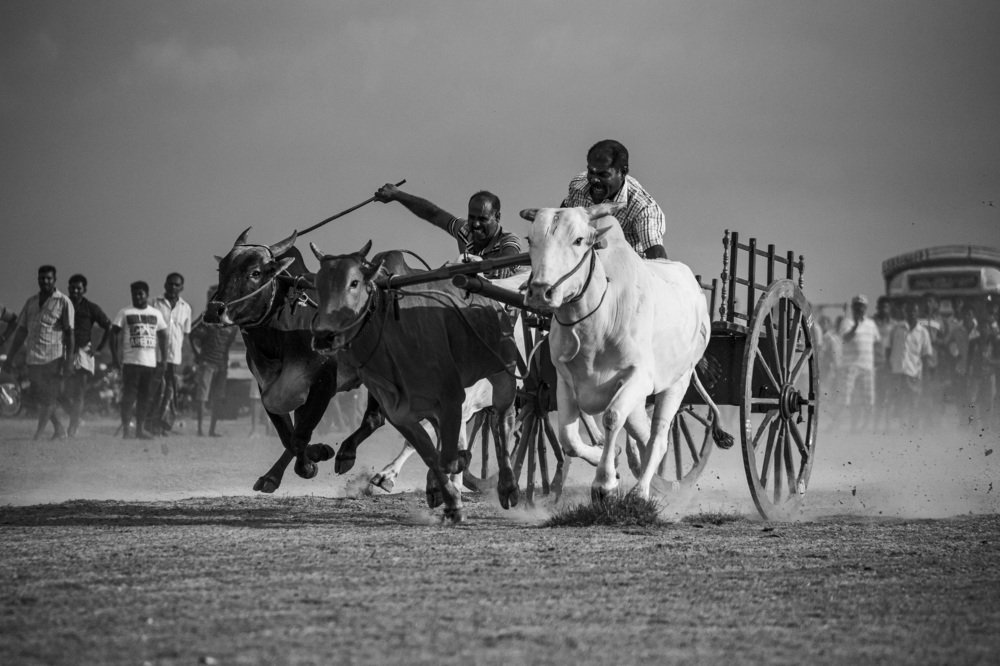 Photograph by Tilaxan Tilaxan