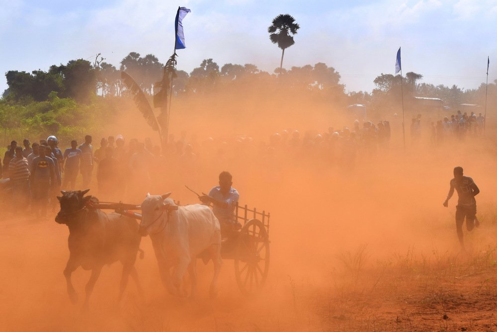 Photograph by Suyothami