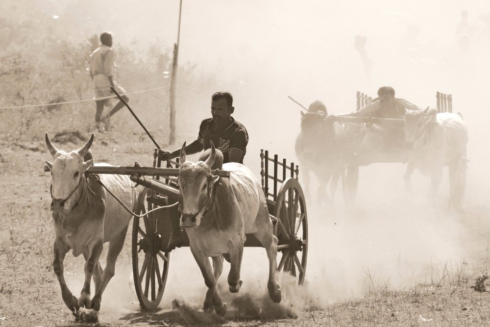 Photograph by Suyothami