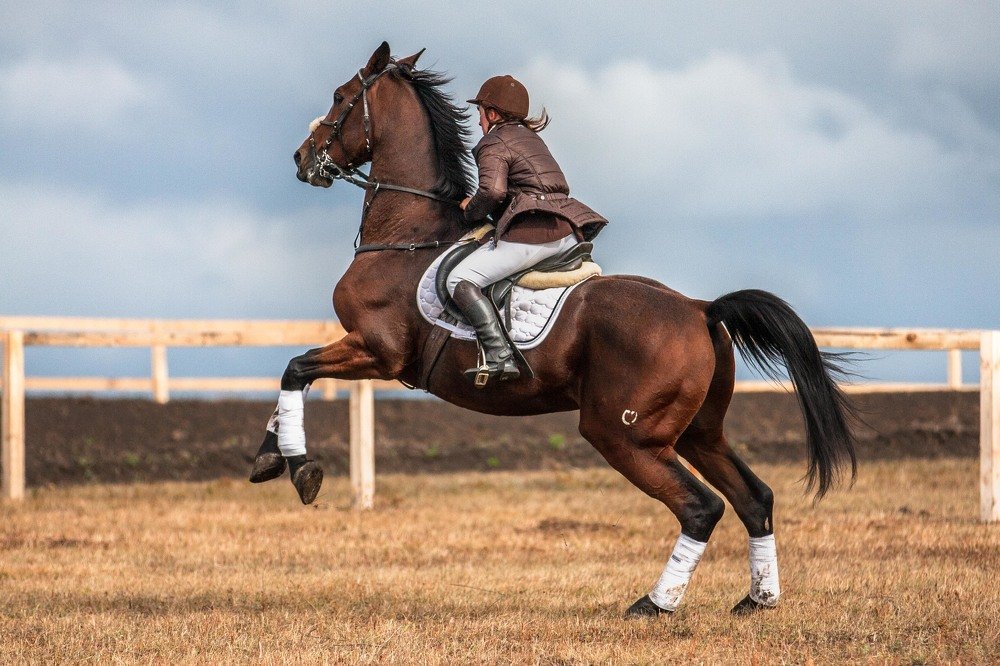 Photograph by mikhail goryachev