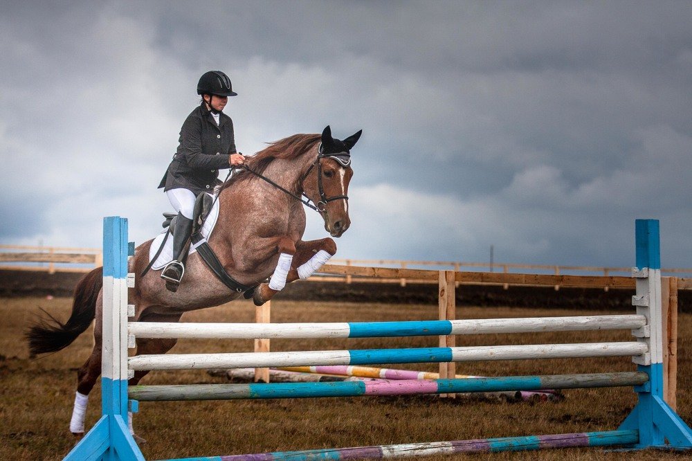 Photograph by mikhail goryachev