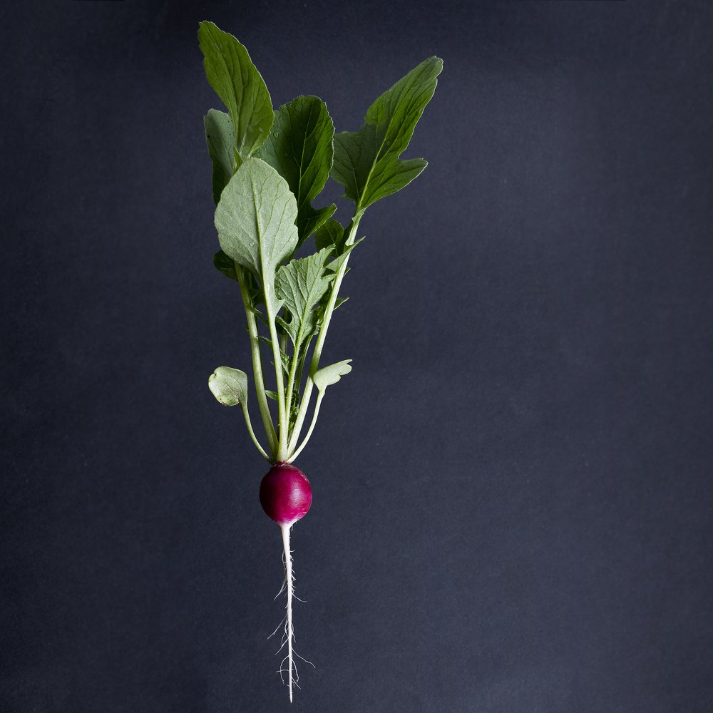 Photograph by Алексей Карабухин