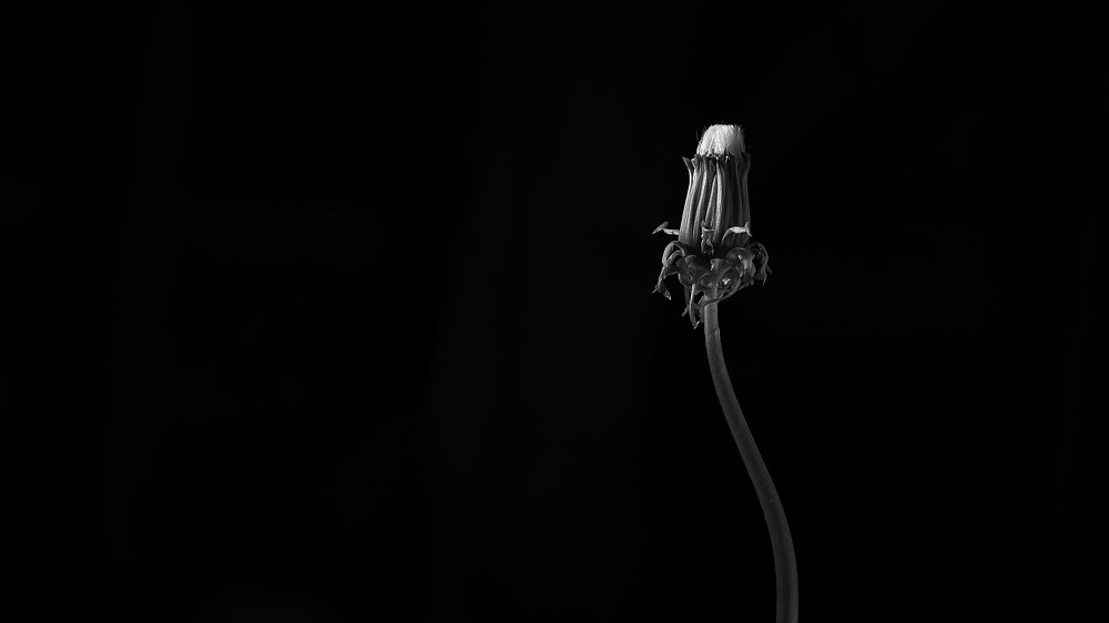 Photograph by Алексей Карабухин