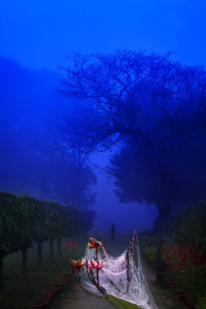 Photograph by Avinash Chandra Little